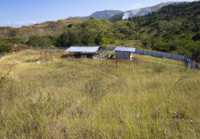 Picture of HL-farm in Hinche, Haiti